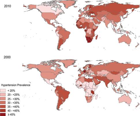 Image result for hypertension prevalence 2010 worldwide